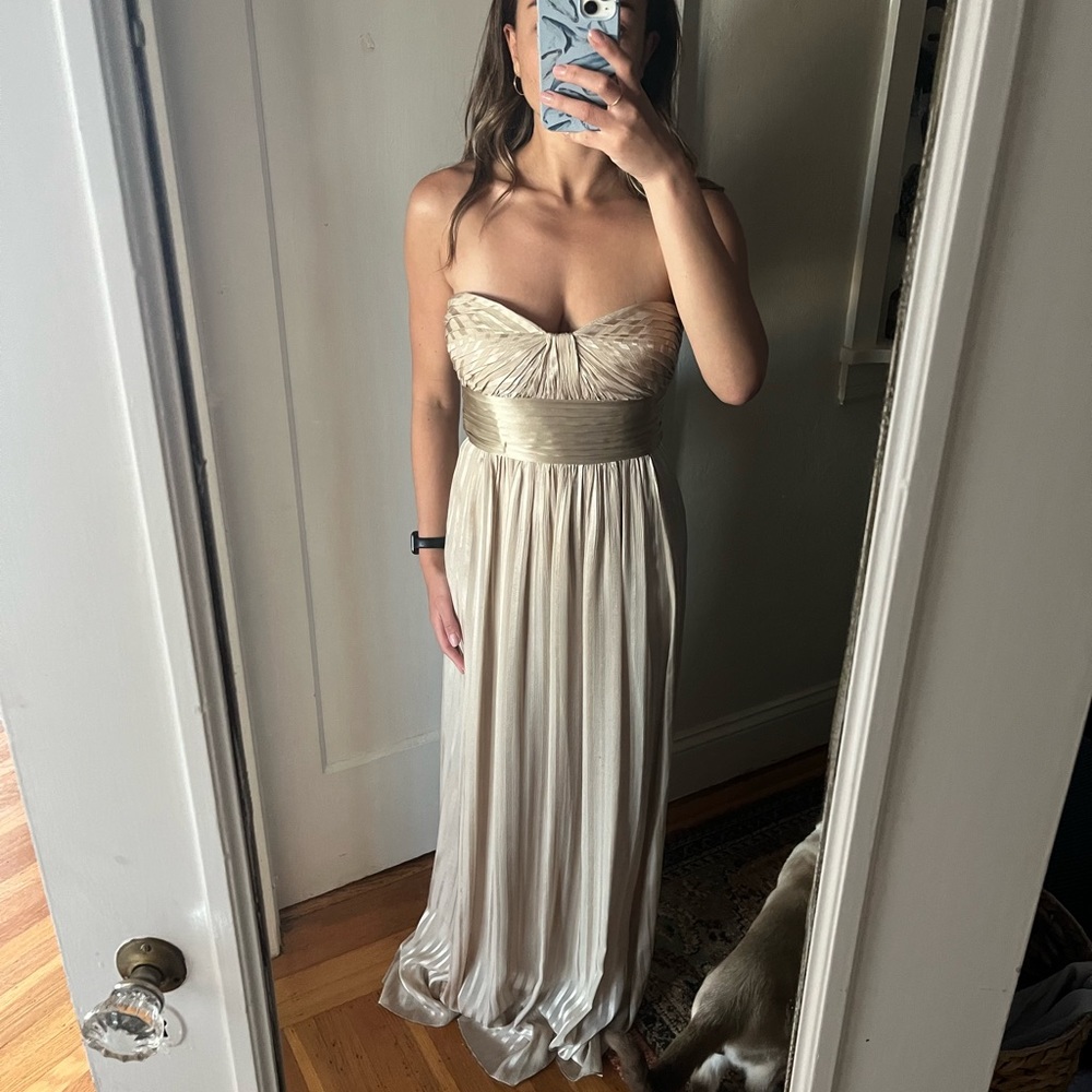 BCBG Maxazria Chiffon champagne floor length dress size 2